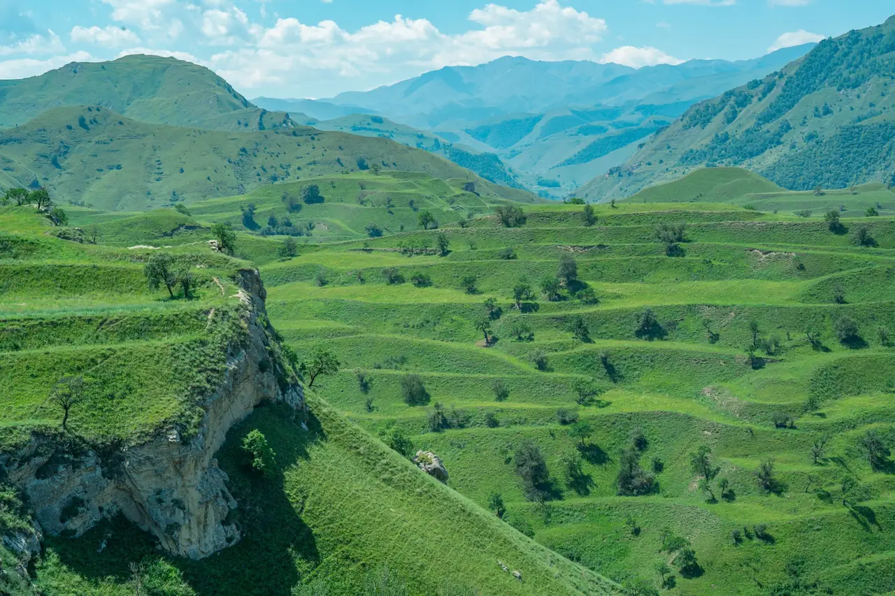 Ruộng bậc thang trên sườn núi xanh