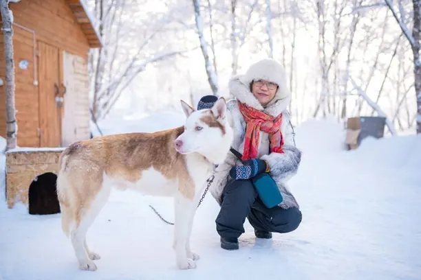 Khách bên chó husky