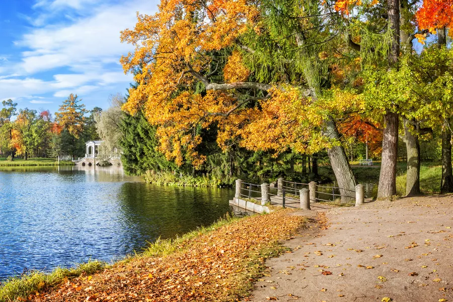 Hai cây cầu trong công viên Tsarskoye Selo, Pushkin