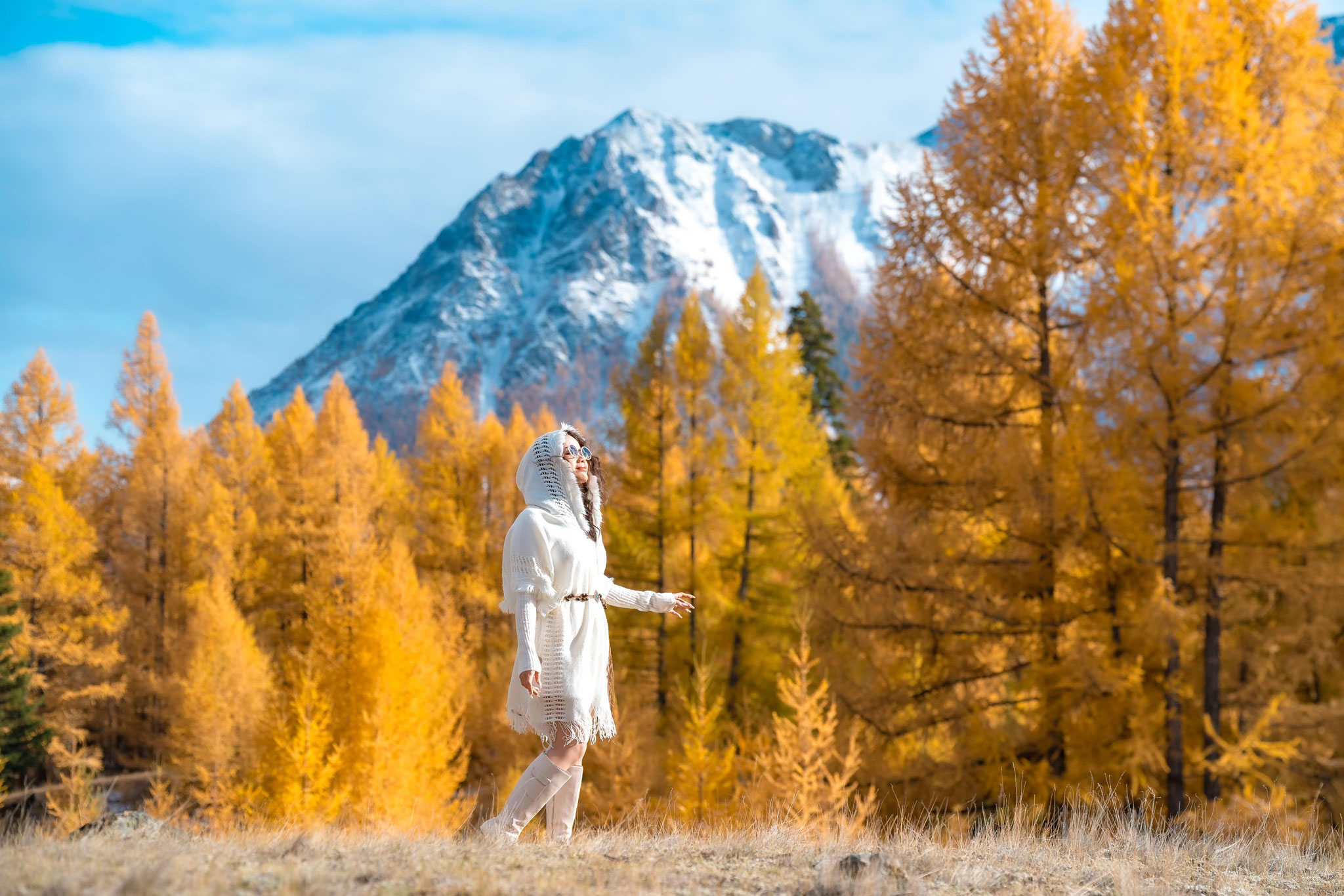 Thu vàng Altai – hành trình thiên nhiên đầy màu sắc