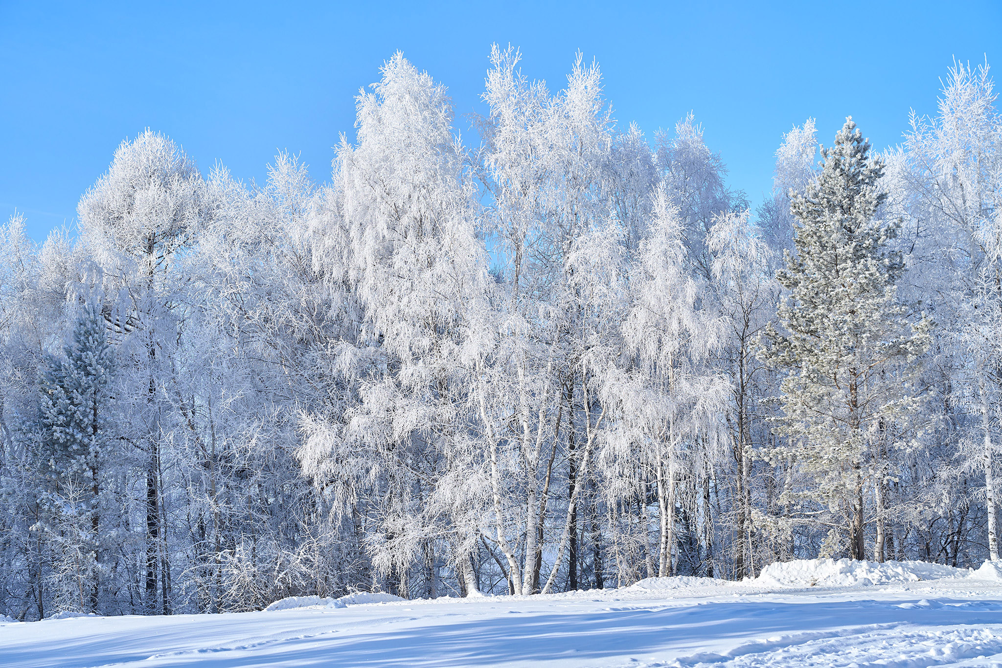 Bảo tàng Kiến trúc – Dân tộc học Taltsy_18