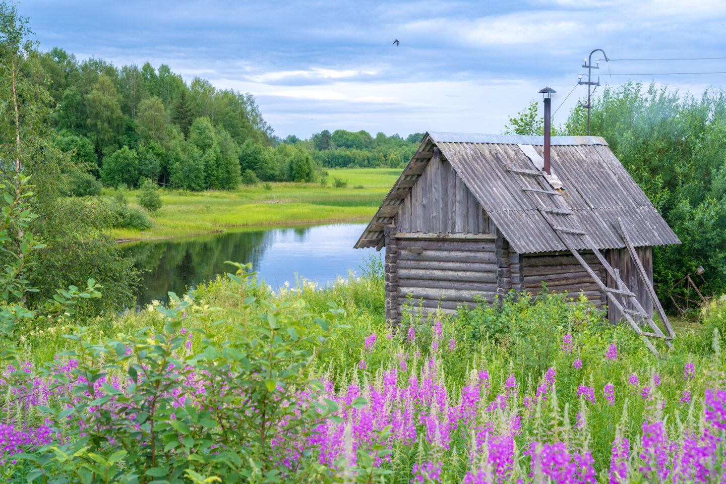 Karelia